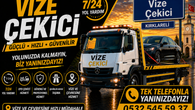 Vize Çekici